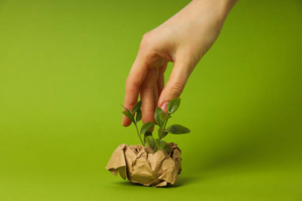 istock Earth Day, Environment concept and Eco concept 2204242604