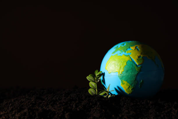 istock Earth Day, Environment and Eco concept, space for text 2204242719