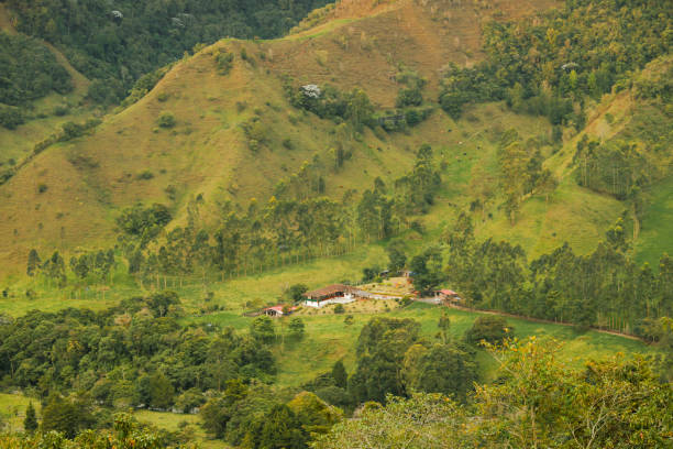 istock Rural House Amidst Rolling Hills 2204244866