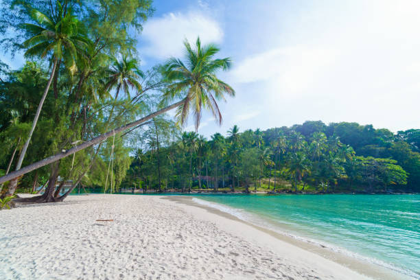 istock Khlong Hin beach in Koh Kood island, Thailand 2204245247