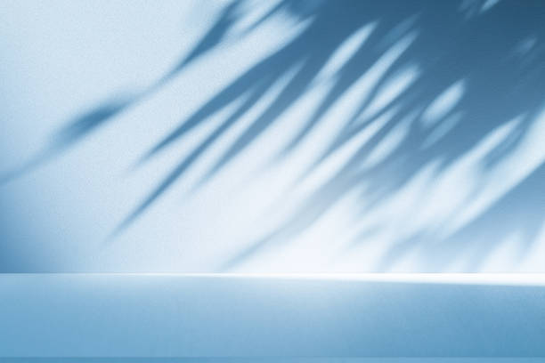 istock Studio style background wall decoration presentation uses white and blue tones. with shadows cast from a nearby window, concept creating a decorative 2204252507