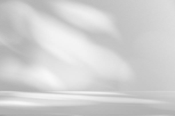 istock Wall interior background, studio and backdrops show products.with shadow from window color white . background for text insertion and presentation product 2204252512