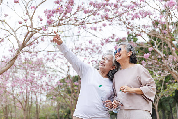 istock Two elderly women stand under blooming cherry blossom trees, smiling joyfully. 2204255504