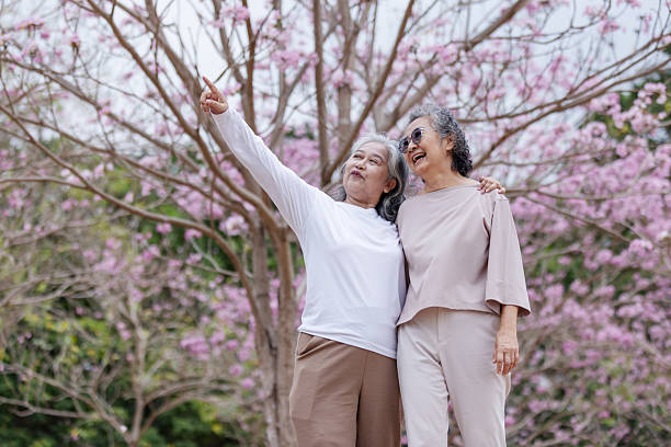 istock Two elderly women stand together under blooming cherry blossoms, one pointing excitedly while the other smiles warmly. 2204255622