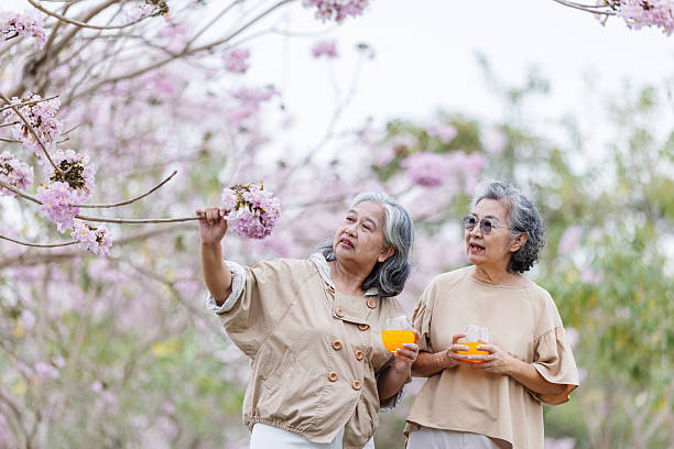 Two elderly women enjoy a peaceful moment under blooming cherry blossoms.