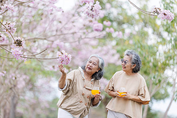 istock Two elderly women enjoy a peaceful moment under blooming cherry blossoms. 2204255766