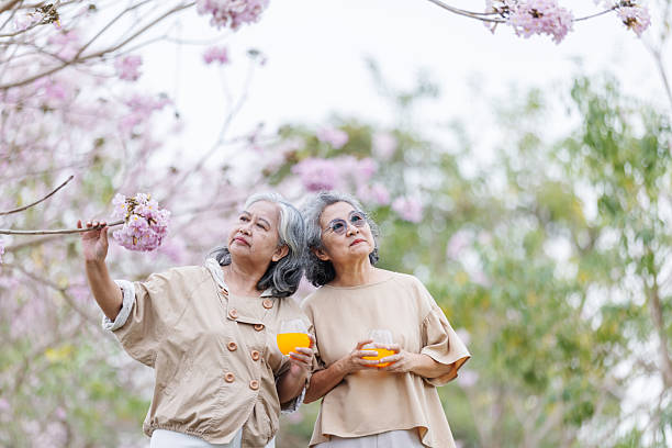 istock Two elderly women enjoy a peaceful moment under blooming cherry blossoms. 2204255772