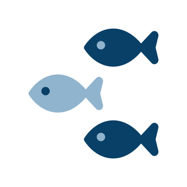 Vector icon illustration of three fishes