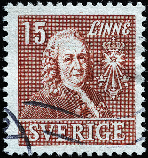 istock Carl Linnaeus on old swedish postage stamp 2204262111