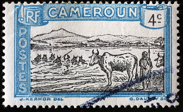 istock Cattle crossing a river on vintage stamp of Cameroon 2204262129