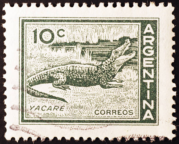 istock Cayman on vintage postage stamp of Argentina 2204262144