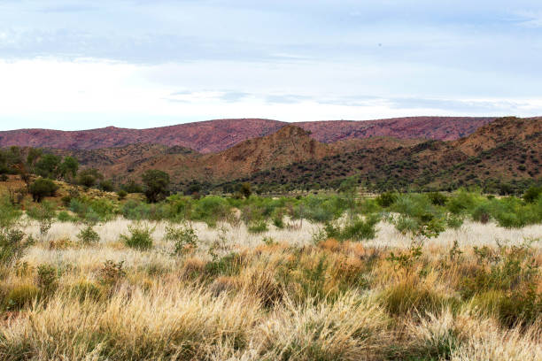 A scenic view of the Australian outback with rolling hills, grasslands, and rugged terrain