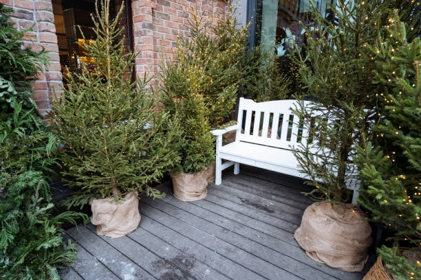 istock A beautiful white bench can be seen resting on a charming wooden deck that is surrounded by a delightful display of Christmas trees, creating a festive atmosphere for all to enjoy 2204266172