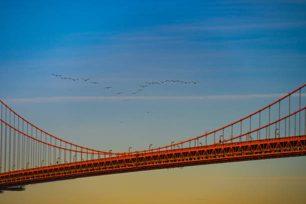 Close-Up of the Golden Gate Bridge in San Francisco, California.