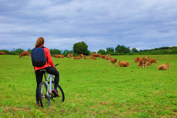 Photo of a mid adult man riding  bicycle outdoors in the nature