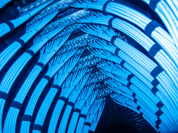 istock Intricate Network of Blue Cables in Data Center Storage Equipment 2204272210