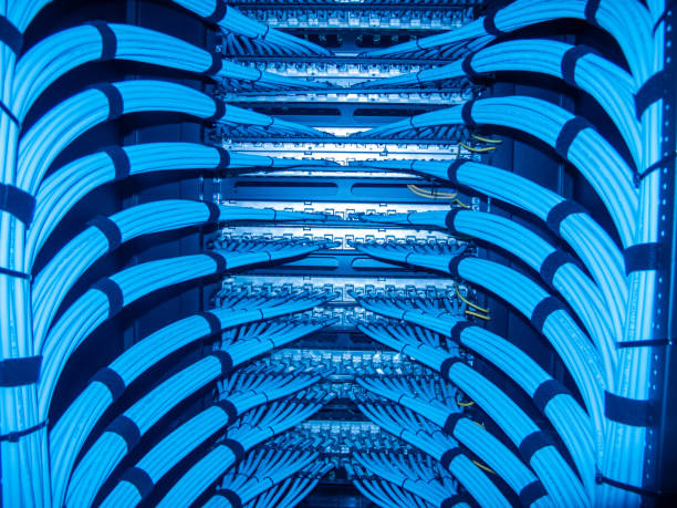 istock Network Kabel in server rack with blue lighting and organized wires 2204272211