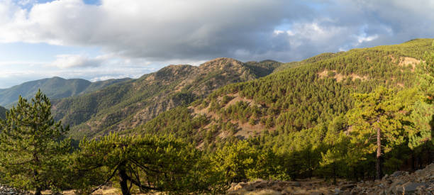 Sandras Mountain range in Koycegiz, Mugla, Turkey, covered in lush pine forests, with dramatic clouds casting shadows over the rugged peaks and scenic landscape.