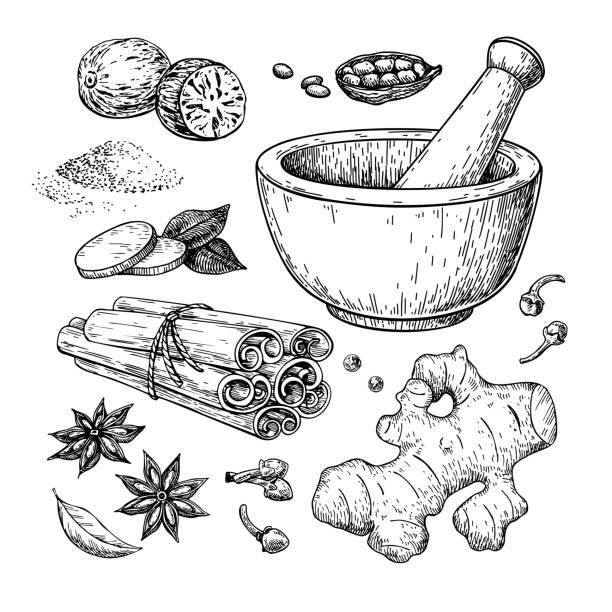 illustrations, cliparts, dessins animés et icônes de dessin vectoriel d’épices d’hiver. arômes de graines et d’herbes pour la nourriture et les boissons de noël. - pilon et mortier