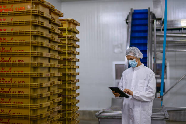 istock Employee working at canned fish factory. 2204277872