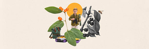 istock Boy standing among oversized plants and berries, carrying binoculars and backpack. Ready for camping trip. Contemporary art collage. 2204277903