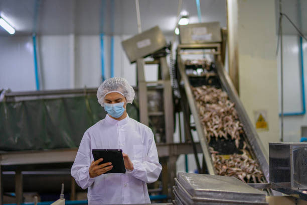 istock Employee working at canned fish factory. 2204277926