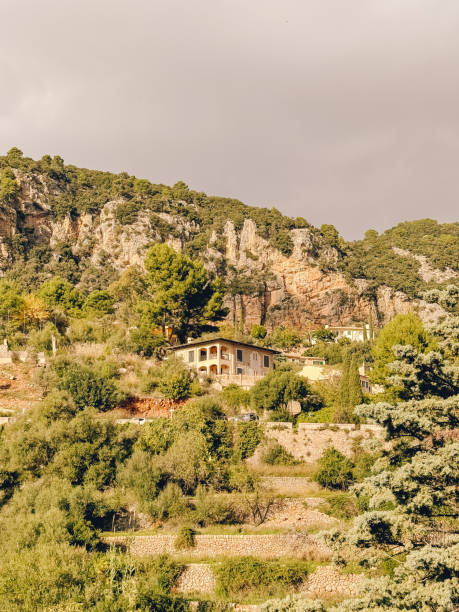 Valldemossa is a village and municipality on the island of Majorca, part of the Spanish autonomous community of the Balearic Islands. It is famous for one landmark: the Royal Charterhouse of Valldemossa, built at the beginning of the 14th century, when the mystic and philosopher Ramon Llull lived in this area of Majorca. Since the 19th century Valldemossa has been promoted internationally as a place of outstanding beauty, largely as a result of the affection of distinguished traveller and cultural writer, the Austrian Archduke Ludwig Salvator.