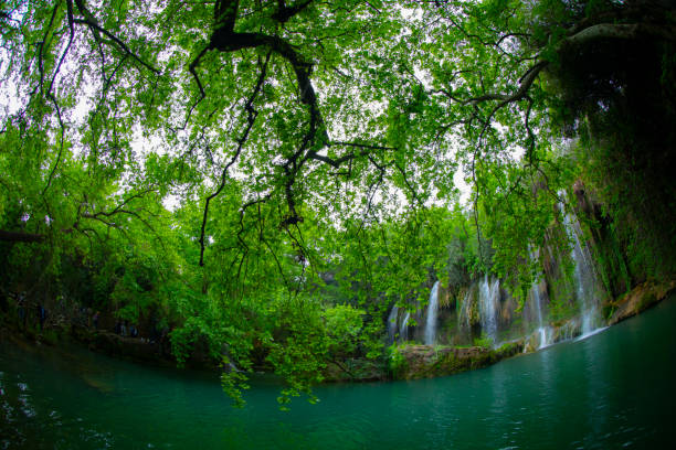 Shenandoah valley waterfall