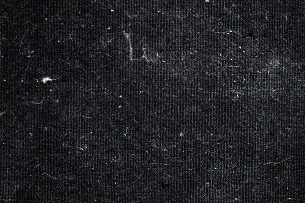 istock Dirty rug carpet with cat hair and dust. 2204278877