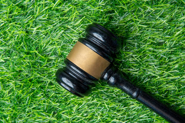 istock A wooden gavel on vibrant green grass. 2204278882