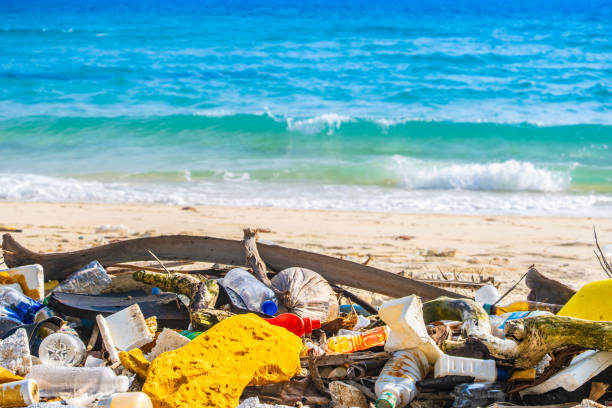 istock trash, plastic cups and plastic bags at the beach. environmental problem concept and healing the world 2204279672