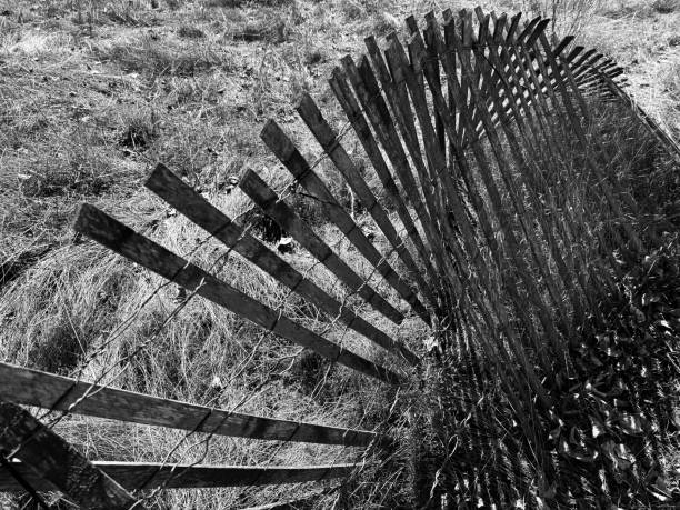 black and white broken wooden fence