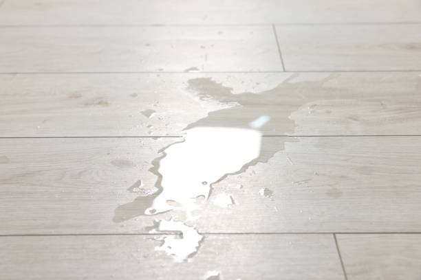 istock Puddle of spilled water on white laminated floor 2204287786