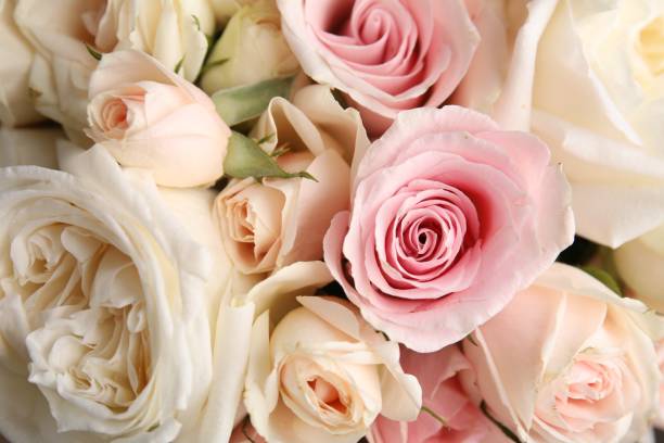 istock Beautiful rose flowers as background, top view 2204287791