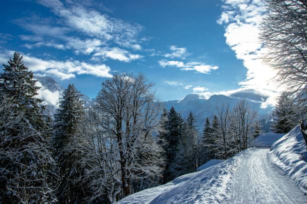 istock Scenic Winter Landscape with Snowy Trees 2204288340