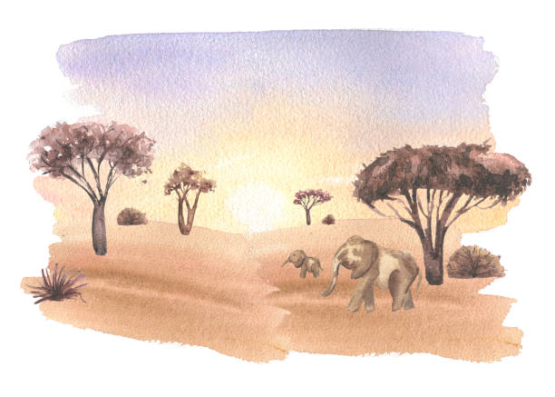 istock Desert scenery with flora and wild animals watercolor hand painted isolated on white. Savanna trees and elephants landscape in soft colors. Sky in gradient of yellow to purple and dried ground. 2204289867