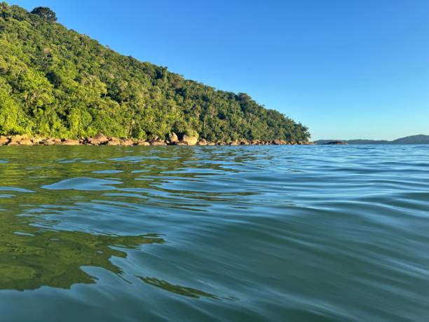 istock Serene coastal view with lush forest and calm sea. 2204290265