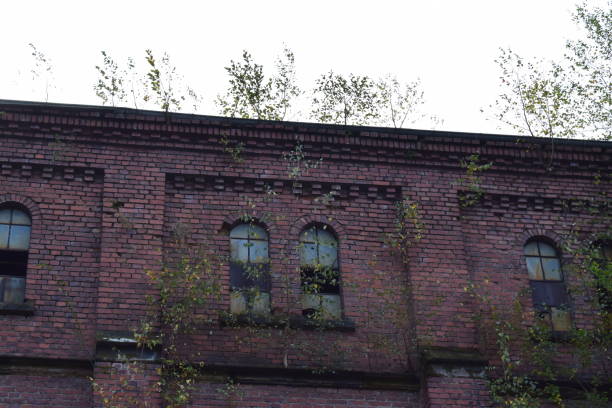 istock old brick building with plants in the walls 2204290269