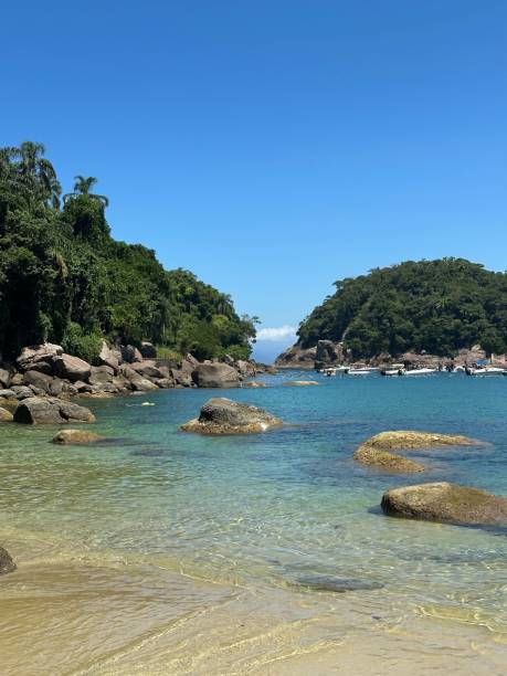 istock Serene tropical beach with turquoise waters. 2204290327