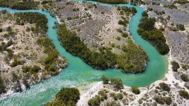 istock A winding river course in Southern Australia, seen from above 2204292227