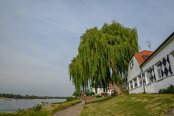 Die Stadt Rees am Niederrhein