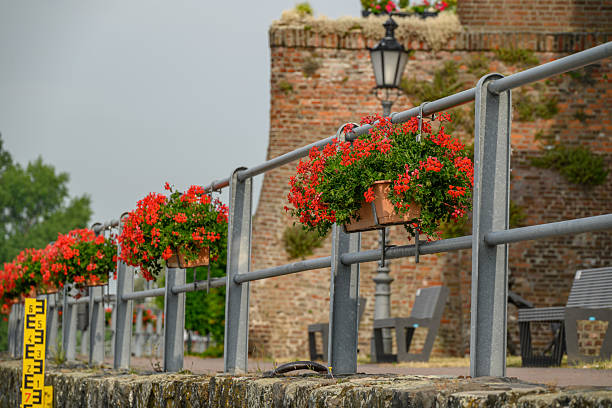 istock Die Stadt Rees am Niederrhein 2204296241