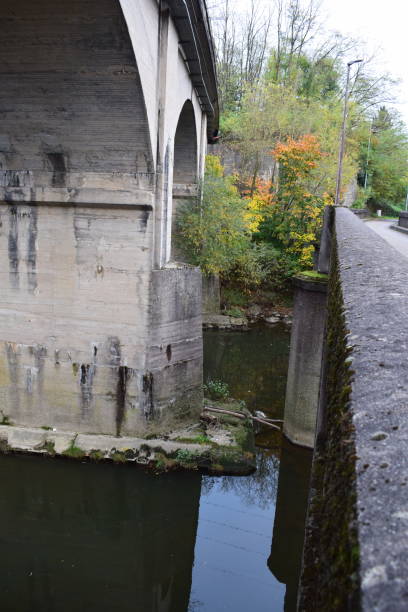 istock autumn tree between two bridges on different levels 2204296312