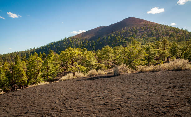 istock Sunset Crater Volcano National Monument 2204303208