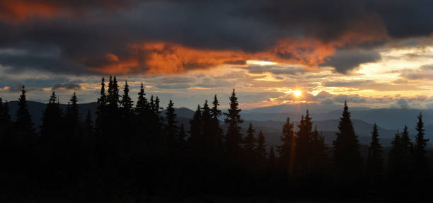 istock Dramatic sunset paints sky with fiery orange and dark clouds, casting serene glow over dense forest 2204303343