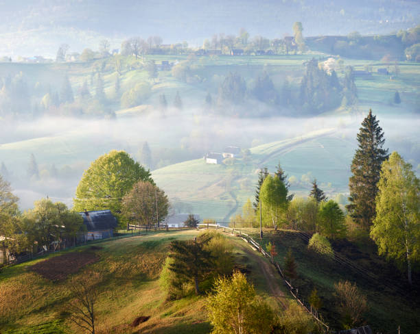 Serene countryside morning with mist rolling over gentle hills. Sunlight filters through, highlighting cozy farmhouse surrounded by lush trees. Scattered homes and winding paths, mist-covered valleys.