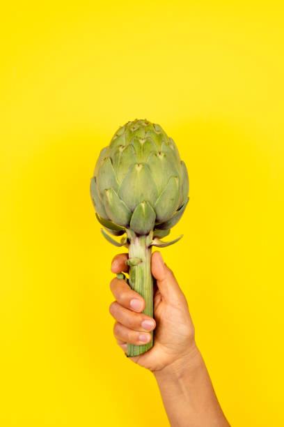 A plantation for artichoke production