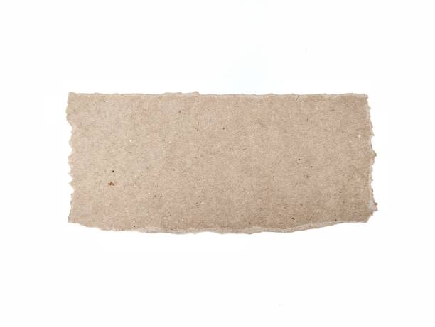istock Piece of torn brown cardboard isolated on white background 2204308552