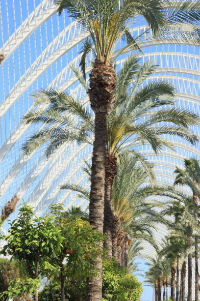 istock Beautiful  park in Valencia. 2204314436