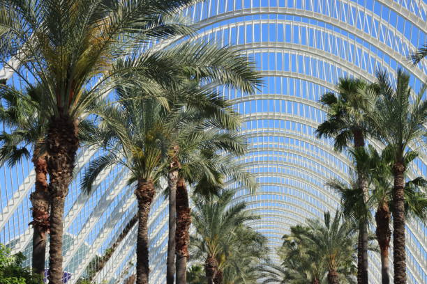 istock Beautiful  park in Valencia. 2204314437